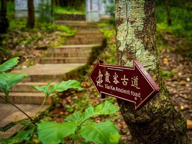 大理宾川鸡足山景区旅游攻略（11月免费的大理宾川鸡足山）(30)