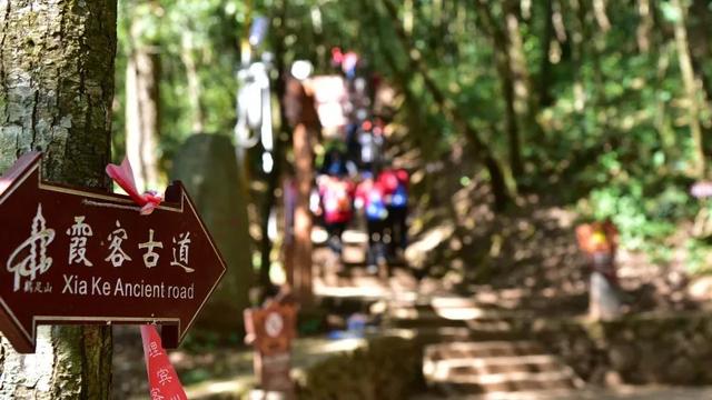 大理宾川鸡足山景区旅游攻略（11月免费的大理宾川鸡足山）(31)