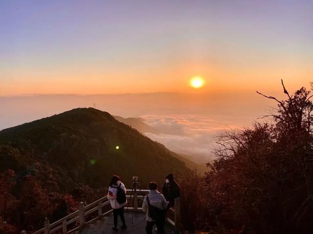 大理宾川鸡足山景区旅游攻略（11月免费的大理宾川鸡足山）(17)