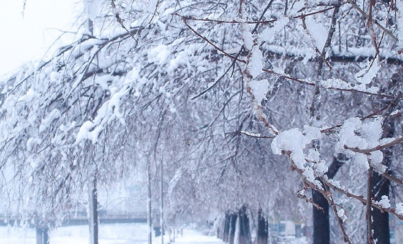 为什么雪化得快的是北方,沟渠里的积雪为什么化得快的是北方化得慢的是南方图4