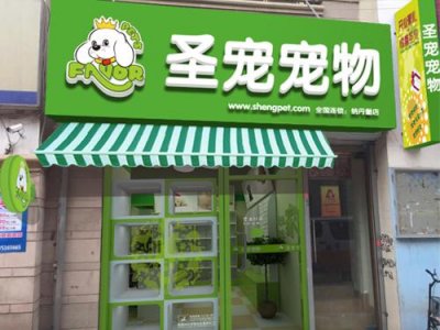 ​怎样开好一家宠物美容店（开家宠物美容店都需要具备什么）