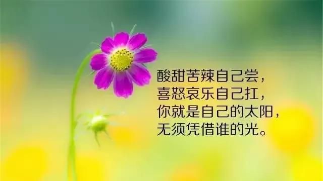 经典人生感悟句子精选app