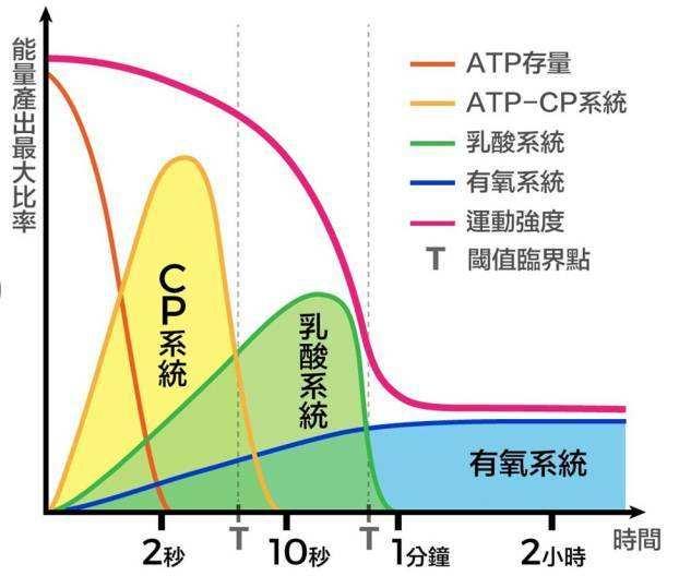 最常见的九种健身补剂（5种健身后常见的运动营养补剂）(3)