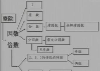 1到100有哪些是互质数