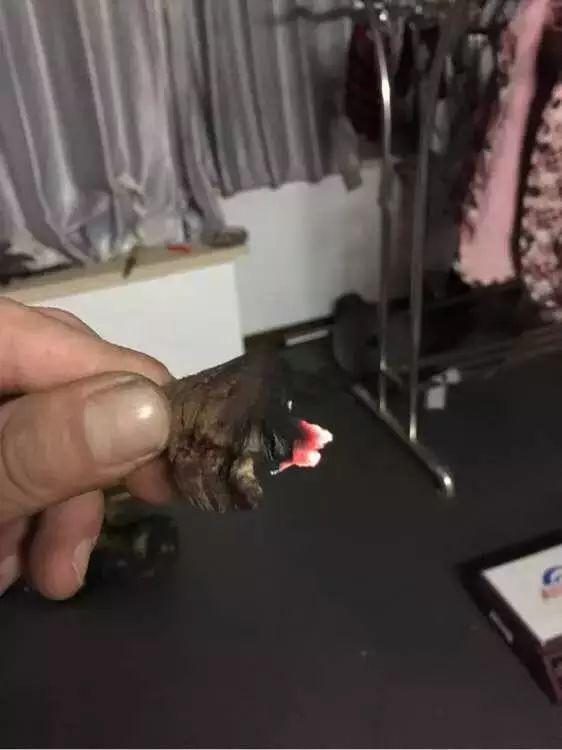 缅甸花梨木工艺品欣赏（丑得要死的木头）(4)