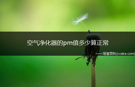 空气净化器的pm值多少算正常(空气净化器使用注意事项)