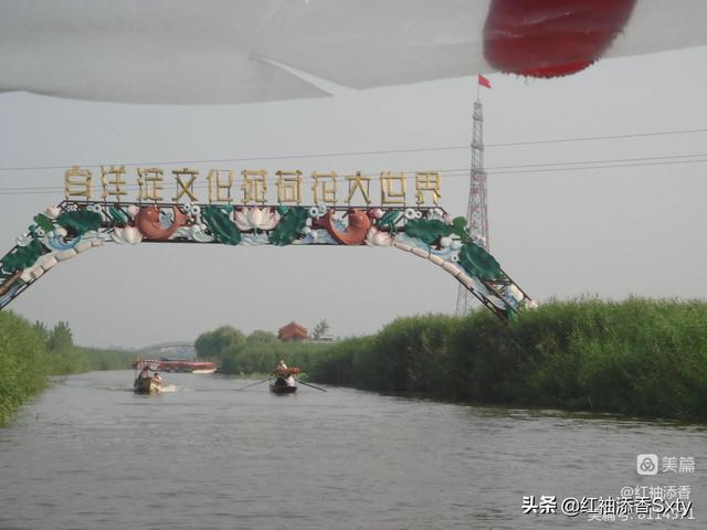 8月北京白洋淀一日旅游攻略（河北白洋淀二日游）(2)