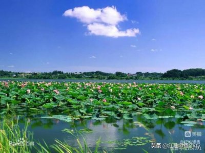 ​8月北京白洋淀一日旅游攻略（河北白洋淀二日游）