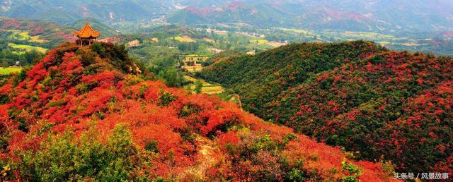 洛阳花果山旅游攻略（洛阳花果山景区重新开园）(2)