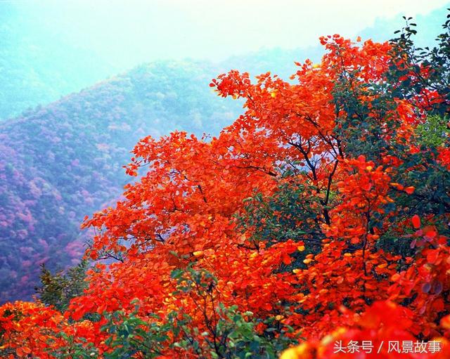 洛阳花果山旅游攻略（洛阳花果山景区重新开园）(4)