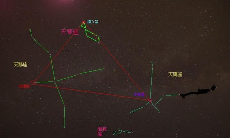 牵牛星属于什么星座