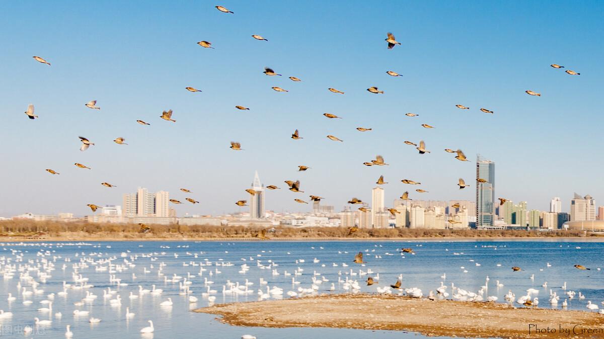 济源市属于哪个市(济源市属于哪个省哪个市)