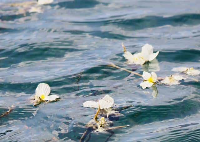 泸沽湖的天气以及适合几月份去（泸沽湖在哪里哪个城市）