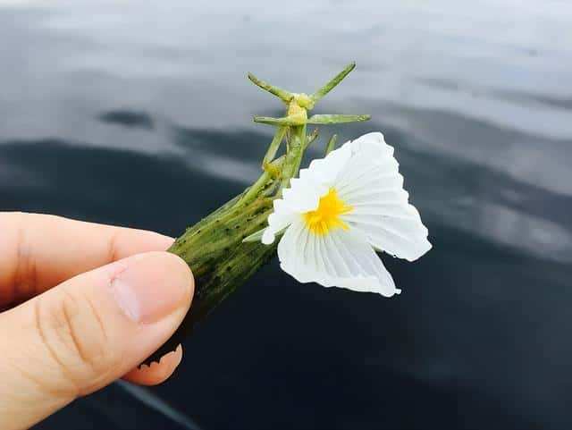 泸沽湖的天气以及适合几月份去（泸沽湖在哪里哪个城市）