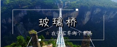 ​张家界玻璃桥旅游景点在哪里(张家界玻璃桥旅游攻略)