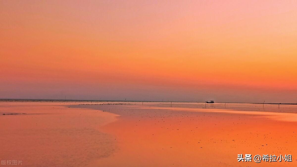 湛江有什么好玩的旅游景点(湛江旅游必去的6个景点)