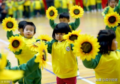 ​幼儿园属于义务教育阶段吗(幼儿园属于什么性质的单位)