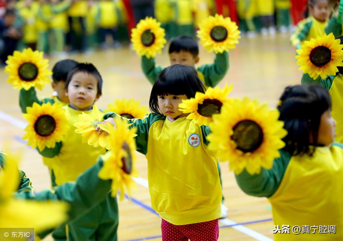 幼儿园属于义务教育阶段吗(幼儿园属于什么性质的单位)