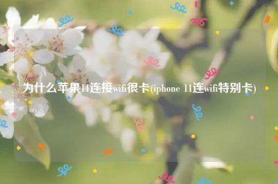 ​为什么苹果11连接wifi很卡(iphone 11连wifi特别卡)