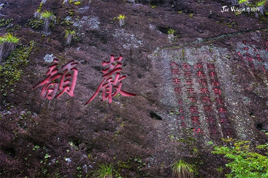 原有士兵把守的天价茶树 市值过亿元的茶中神话“大红袍母树”