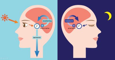 ​吃什么能改善睡眠质量（除了药物，吃什么可以改善失眠？专家来支招，不妨了解