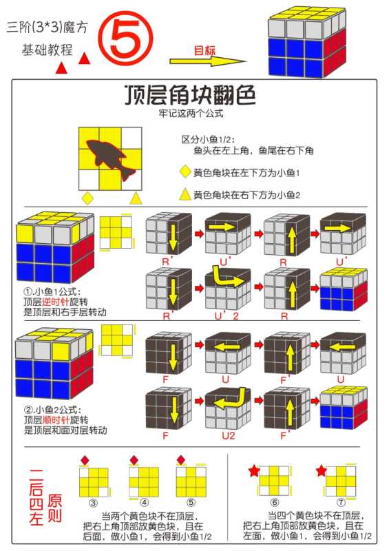 魔方公式(三阶魔方基础还原教程)