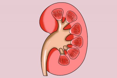 ​肾病患者吃什么好得快（肾病患者饮食怎么吃？这样吃合理又健康，肾病好的更利