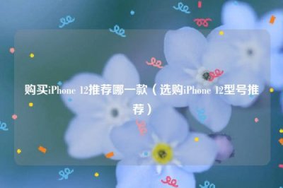 ​购买iPhone 12推荐哪一款（选购iPhone 12型号推荐）