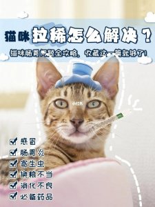 ​妈咪爱怎么吃  解决猫咪拉稀，收藏这一篇就够了|