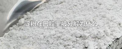 ​淀粉在哪被分解 淀粉在口腔里被分解成什么