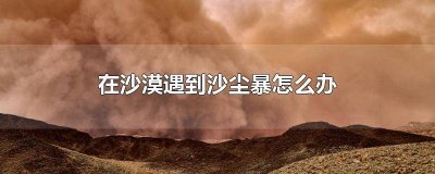 ​在沙漠中遇到了沙尘暴该怎么办 在沙漠中遇到沙尘暴该怎么办?