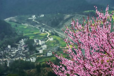 ​人间四月芳菲尽山寺桃花始（人间四月芳菲尽山寺桃花始盛开隐含的科学知识）