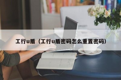 ​工行u盾（工行u盾密码怎么重置密码）