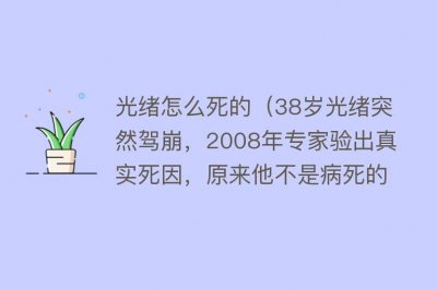 ​光绪怎么死的（38岁光绪突然驾崩，2008年专家验出真实死因，原来他不是病死