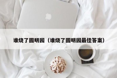 ​谁烧了圆明园（谁烧了圆明园最佳答案）