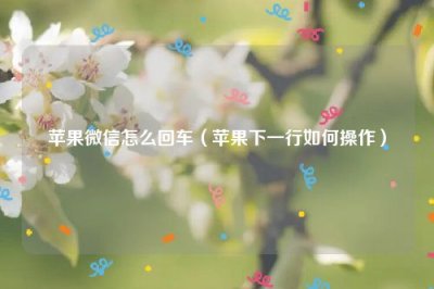 ​苹果微信怎么回车（苹果下一行如何操作）