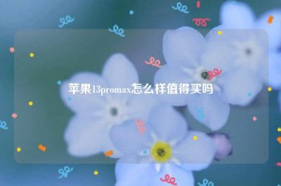 ​苹果13promax怎么样值得买吗