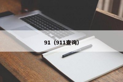 ​91（911查询）