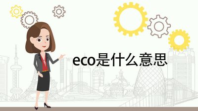 ​eco是什么意思电脑 eco是什么意思游戏