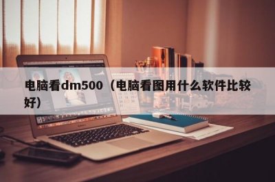 ​电脑看dm500（电脑看图用什么软件比较好）