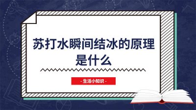 ​苏打水冻成冰块 苏打水冻成冰棒