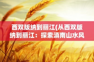 ​西双版纳到丽江(从西双版纳到丽江：探索滇南山水风情)