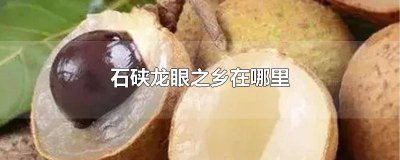 ​正宗石硖龙眼在那个地方 石硖龙眼批发价格?