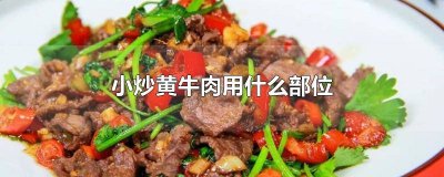 ​小炒黄牛肉要用什么肉 黄牛腿肉可以炒着吃吗