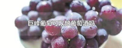 ​巨峰做葡萄酒怎么样 巨峰爽口葡萄酒