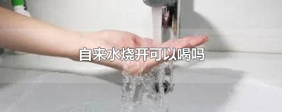 ​卫生间自来水烧开可以喝吗 深圳自来水烧开可以喝吗