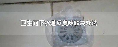 ​卫生间下水道反臭味怎么办 卫生间下水道反味如何解决