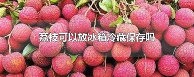 ​荔枝可以放到冰箱里面保鲜吗 荔枝可以放冰箱里面保鲜吗