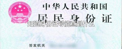 ​身份证号能够查到什么 身份证号可以查到什么?