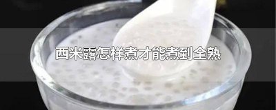 ​西米露煮多久能熟 西米露容易煮熟吗